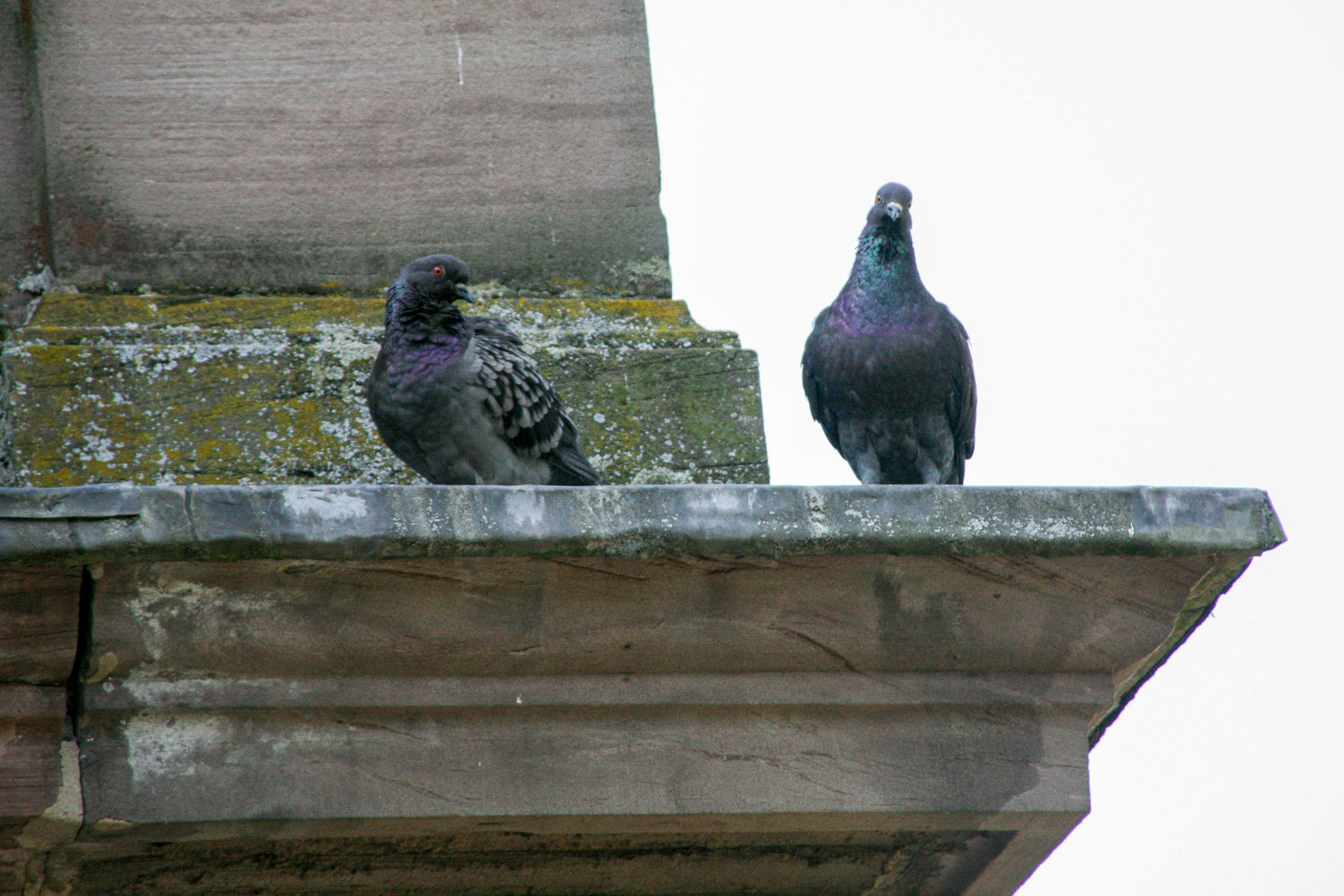 Planungstreffen 2007
